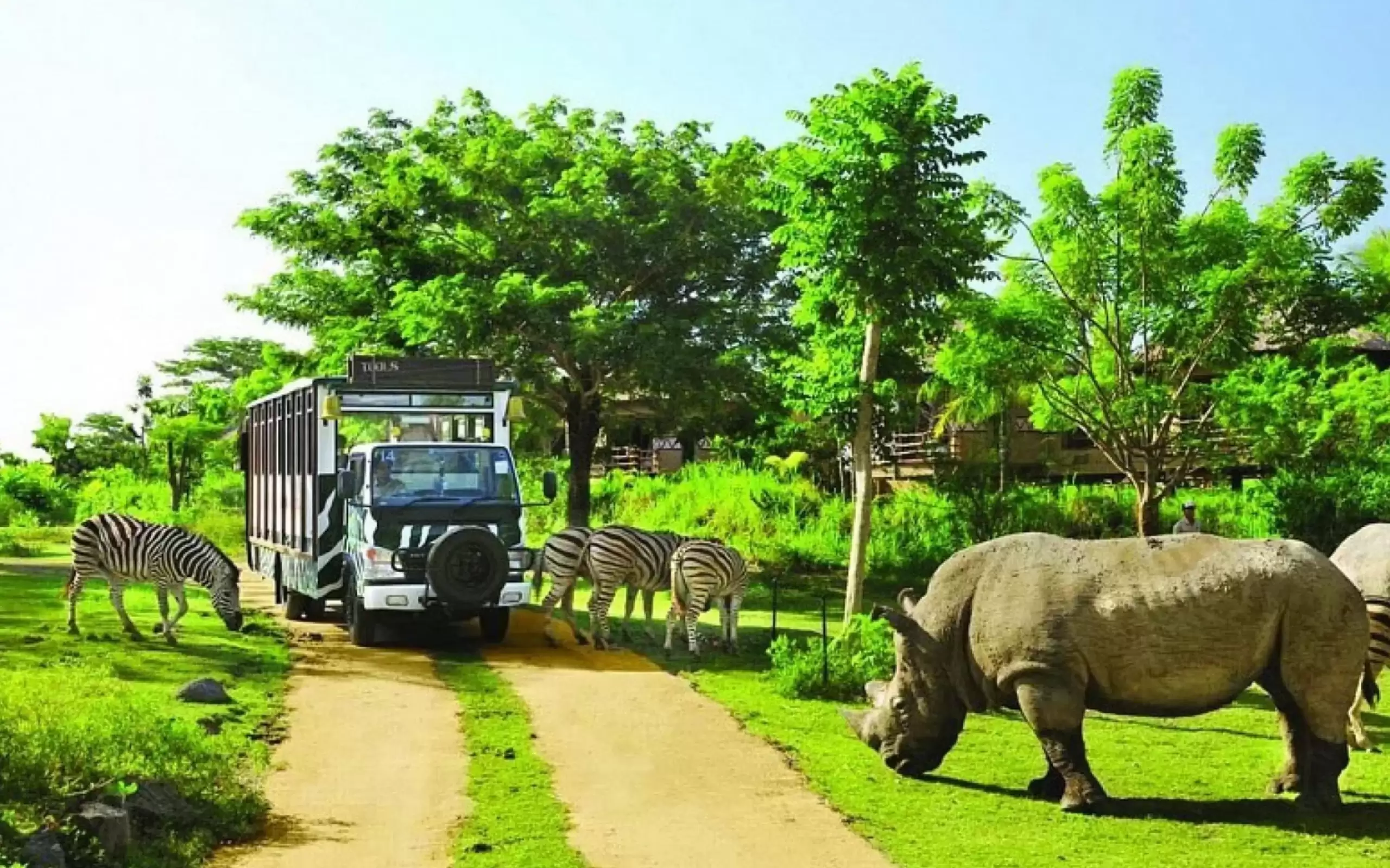 Vé Tham Quan Safari World
