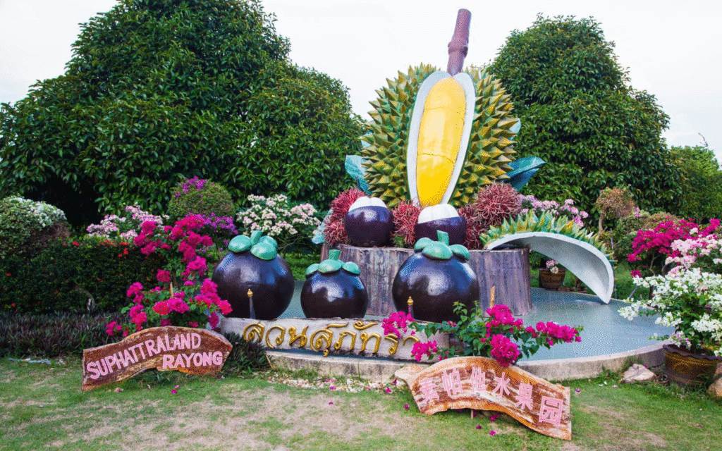 BANGKOK – PATTAYA – RAYONG